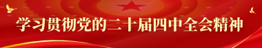 学习贯彻党的二十届四中全会精神