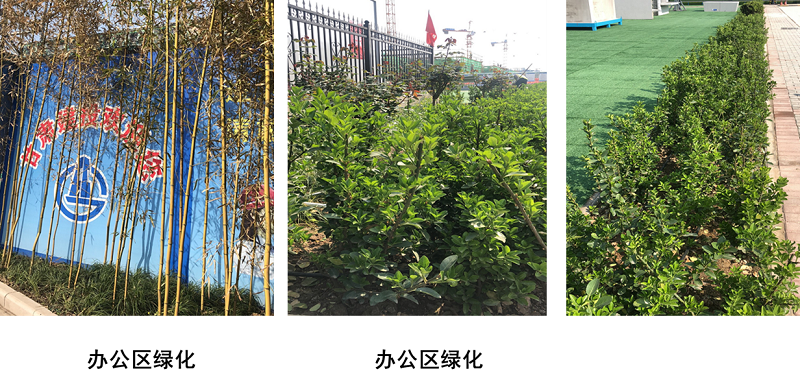 节地与土地资源保护实施措施.png