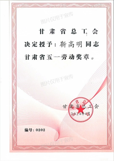 甘肃省五一劳动奖章2.png