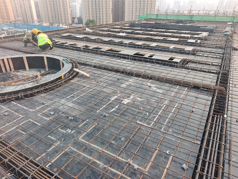 202511101762736819501776.jpg IMG_20251103_173813.jpg