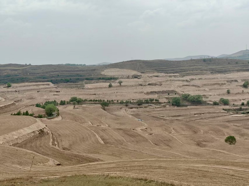 202511121762933212670665.jpg c8ce13c8475b17d3bd0af0b1eafe9389.JPG