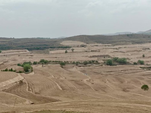 匠心筑就高标准农田 多维发力服务乡村振兴